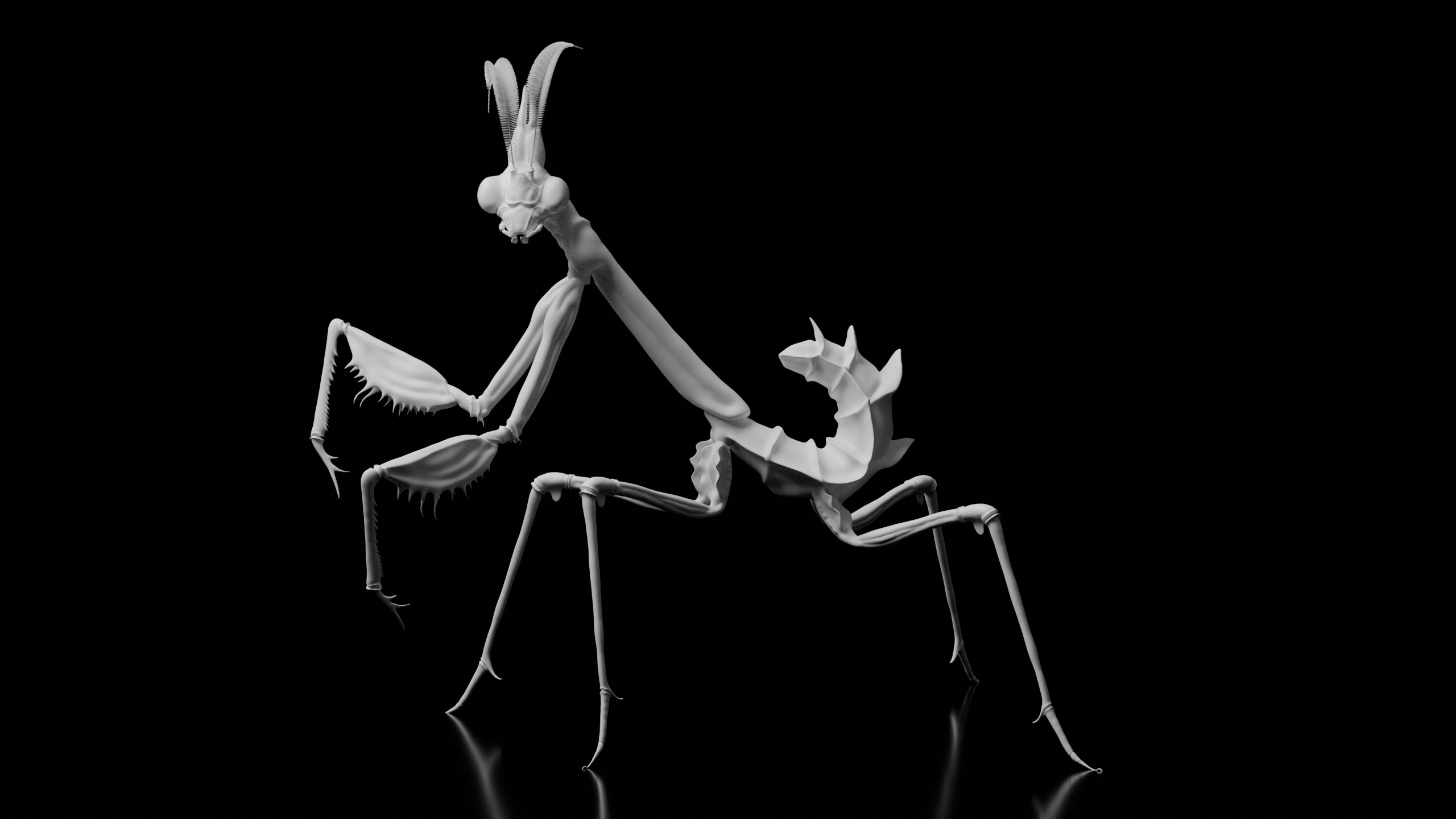 The Mantis