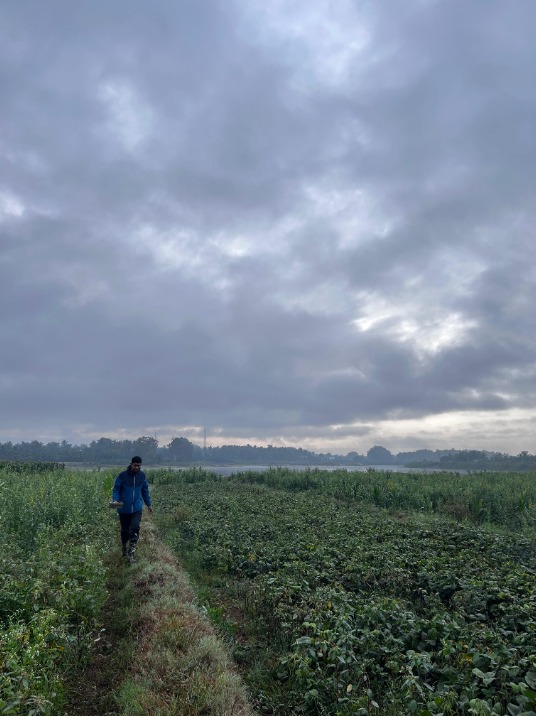 Fieldwork